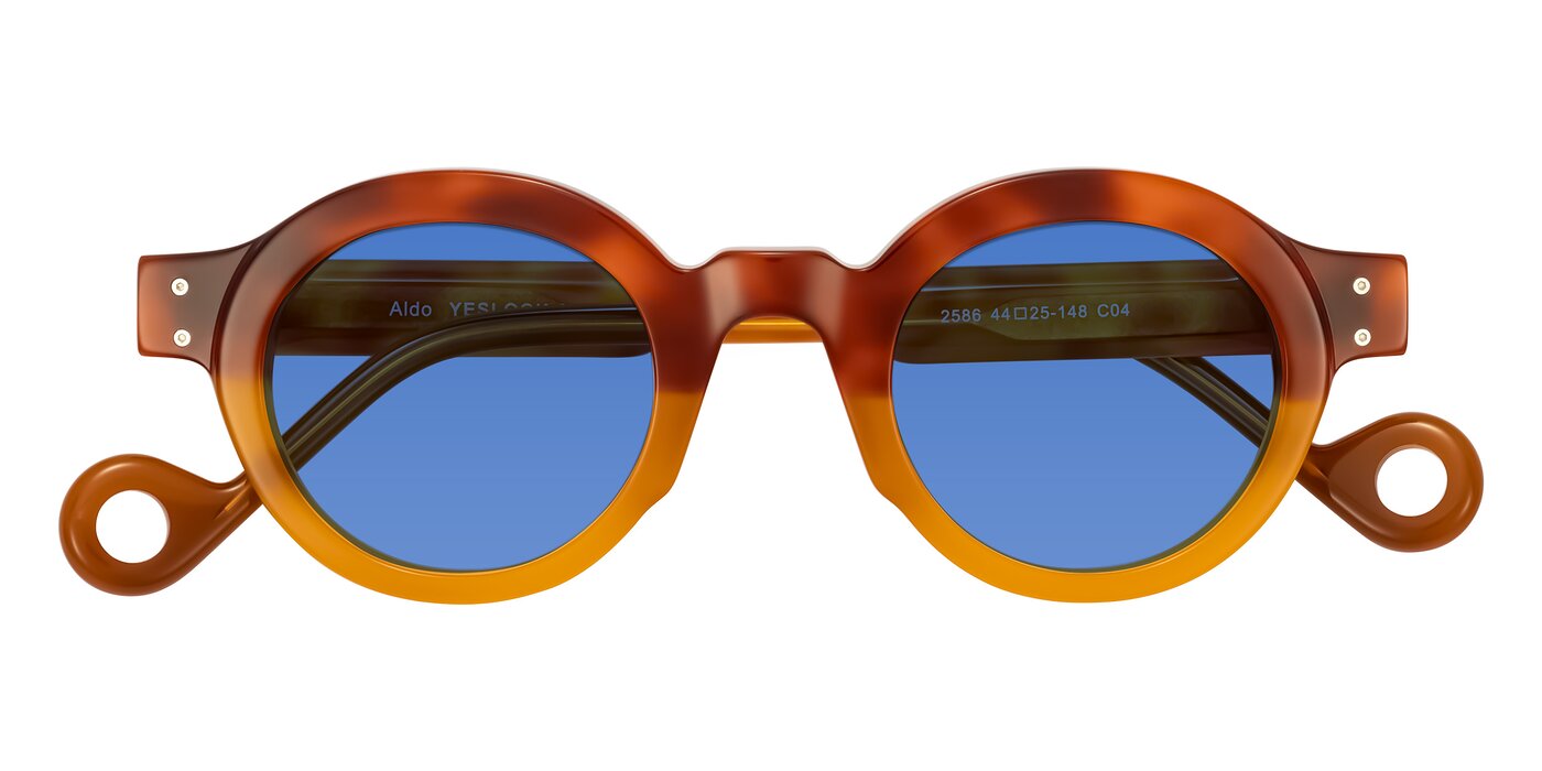 Aldo - Light Tortoise/Caramel Tinted Sunglasses