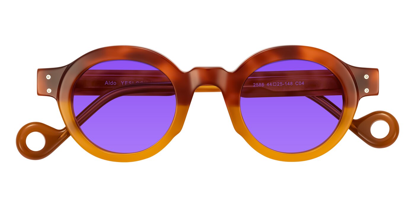 Aldo - Light Tortoise/Caramel Tinted Sunglasses
