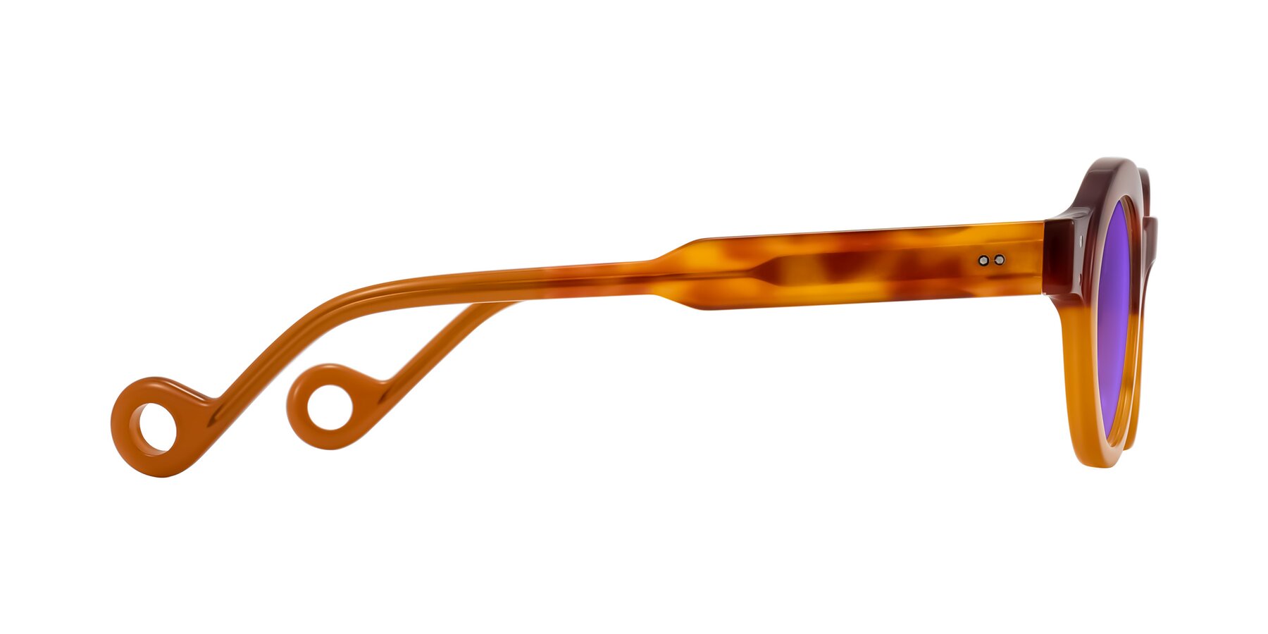 Side of Aldo in Light Tortoise/Caramel with Purple Tinted Lenses