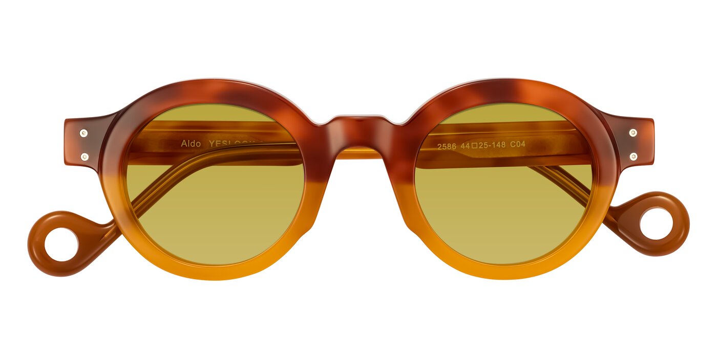 Aldo - Light Tortoise/Caramel Tinted Sunglasses