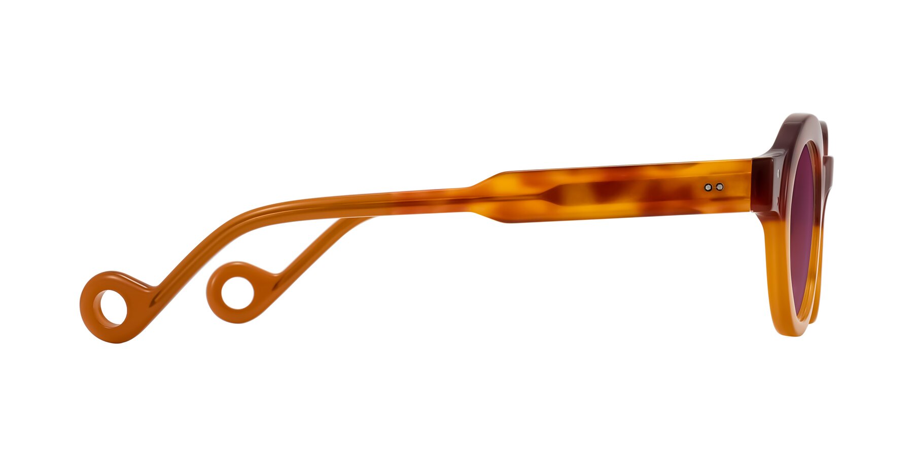 Side of Aldo in Light Tortoise/Caramel with Wine Tinted Lenses