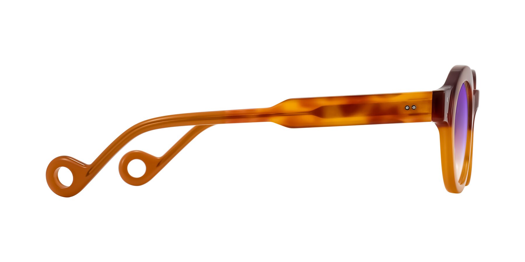 Side of Aldo in Light Tortoise/Caramel with Purple Gradient Lenses