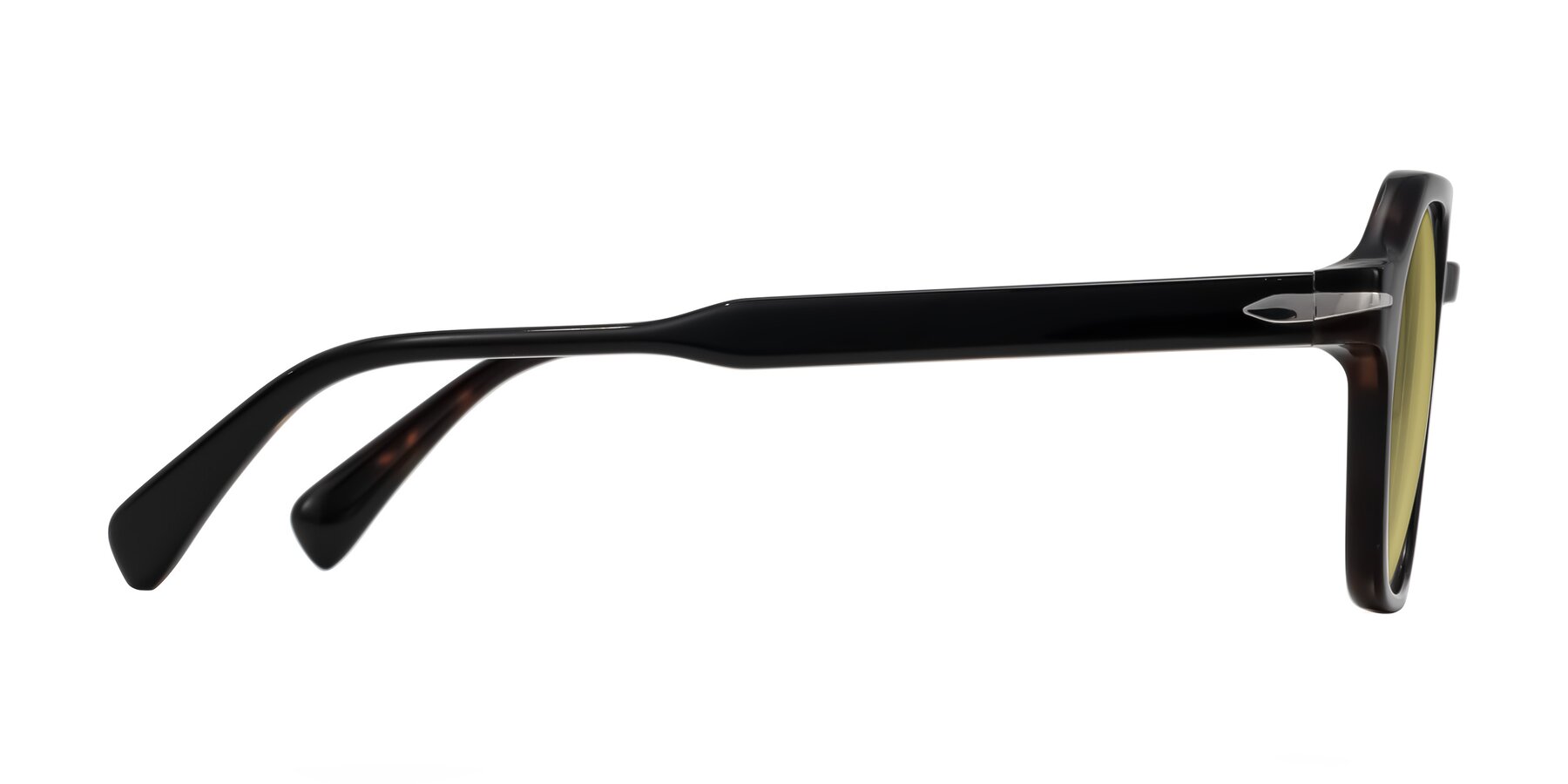 Side of Kibandou in Black/Tortoise with Medium Champagne Tinted Lenses
