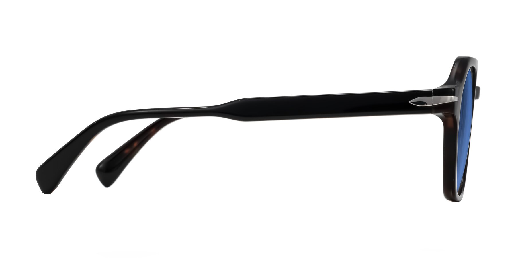 Side of Kibandou in Black/Tortoise with Blue Tinted Lenses