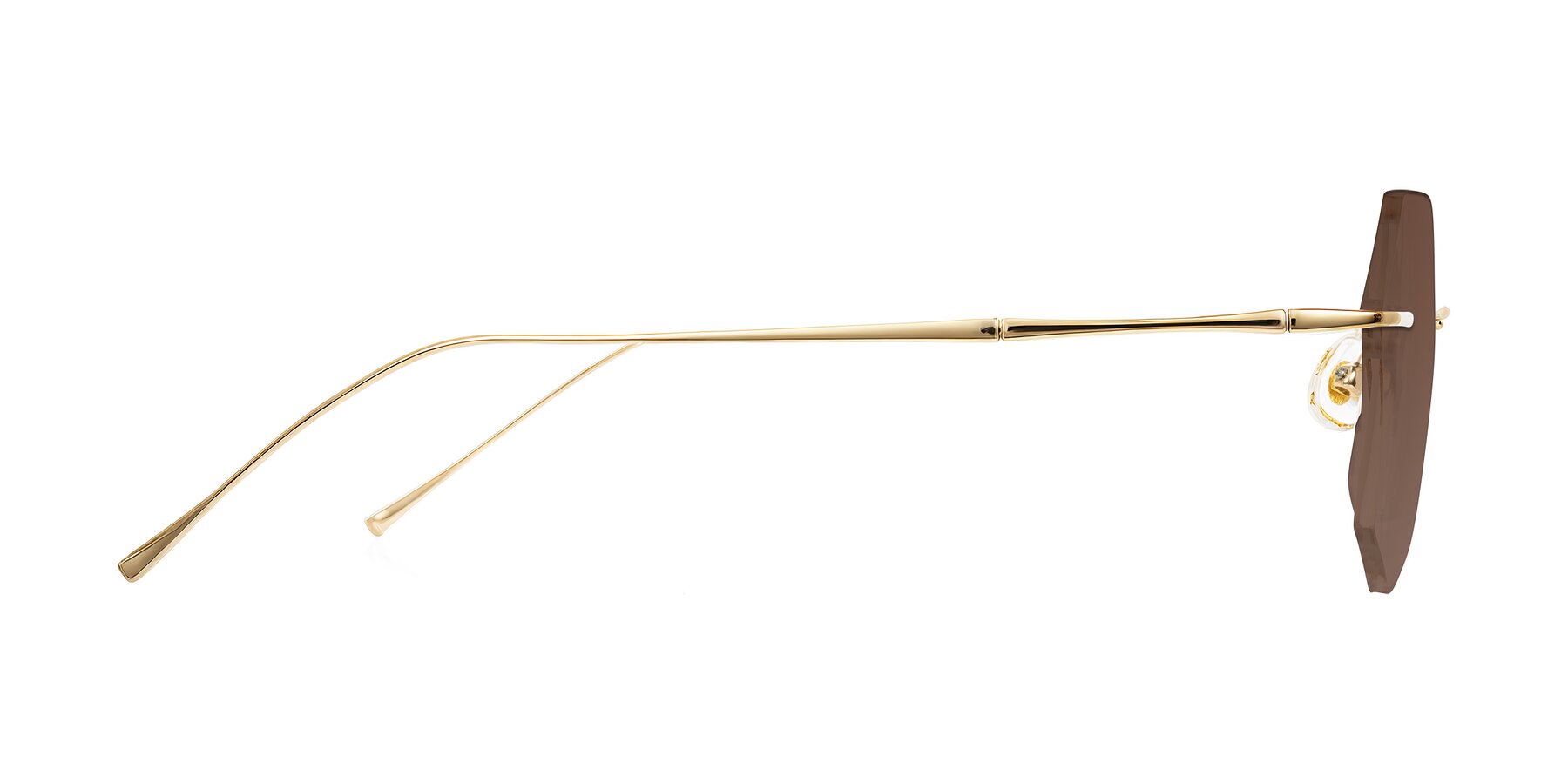 Side of Edme in Gold with Brown Tinted Lenses