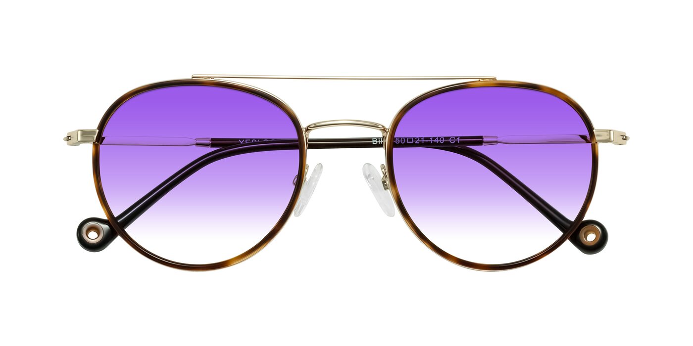 Biko - Tortoise/Gold Gradient Sunglasses
