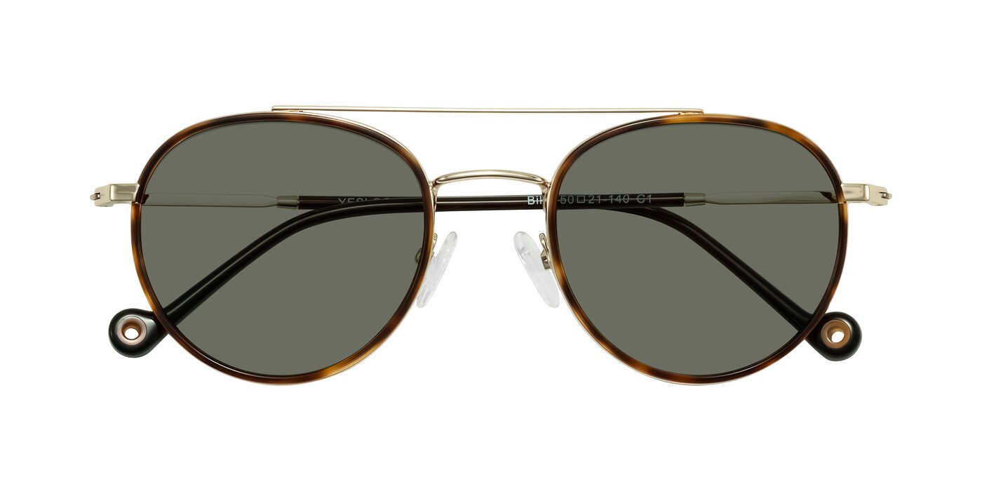 Biko - Tortoise/Gold Polarized Sunglasses