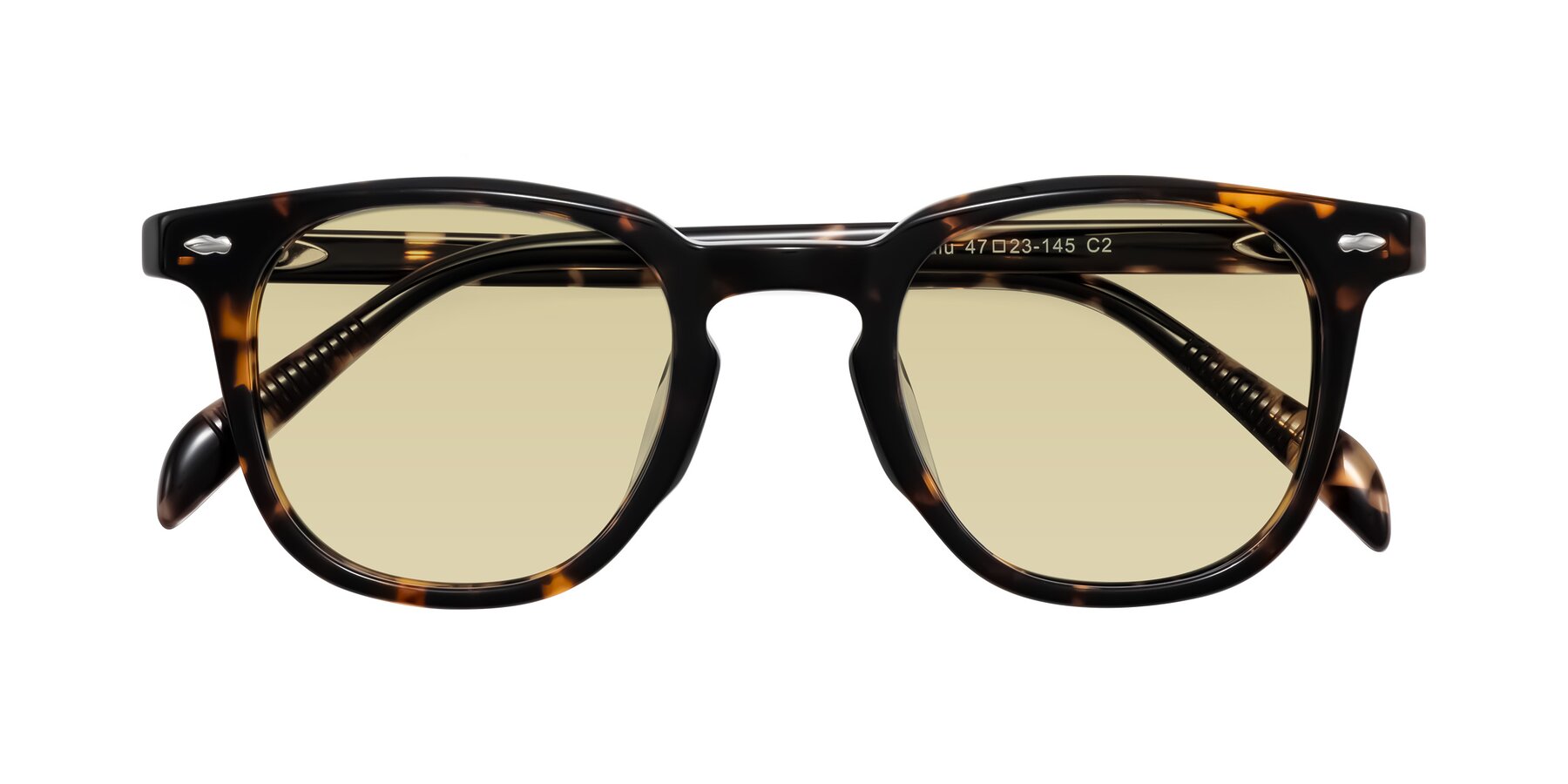 Folded Front of Palu in Tortoise with Light Champagne Tinted Lenses