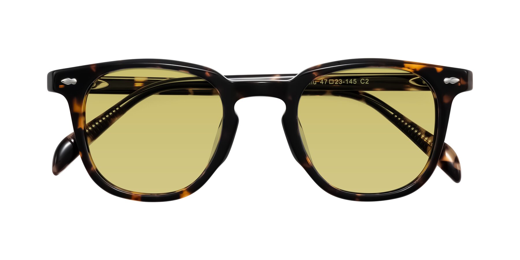 Folded Front of Palu in Tortoise with Medium Champagne Tinted Lenses