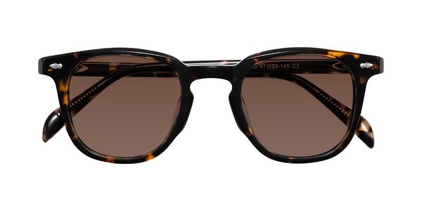 Front of Palu in Tortoise