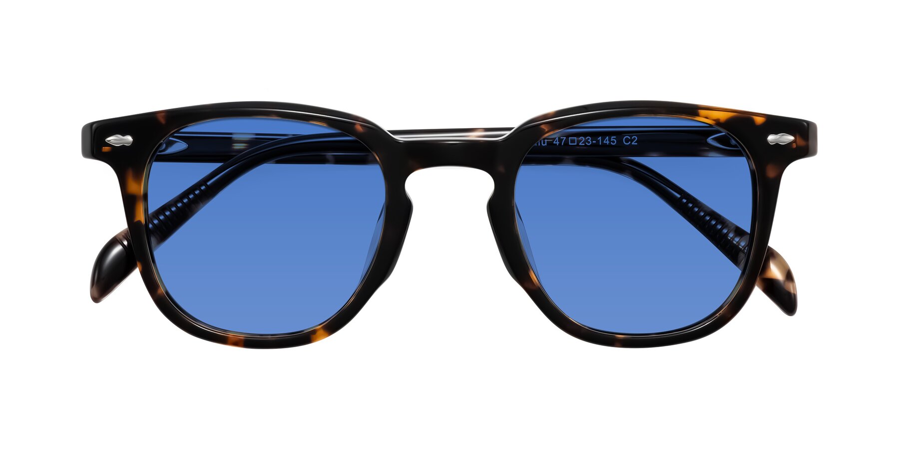 Folded Front of Palu in Tortoise with Blue Tinted Lenses