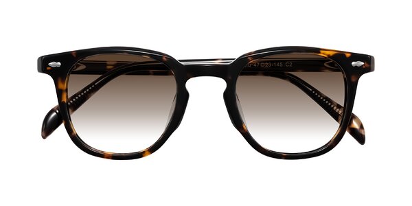 Front of Palu in Tortoise