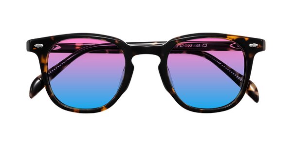 Front of Palu in Tortoise