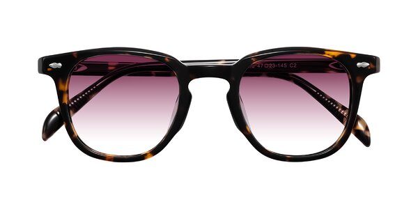 Front of Palu in Tortoise