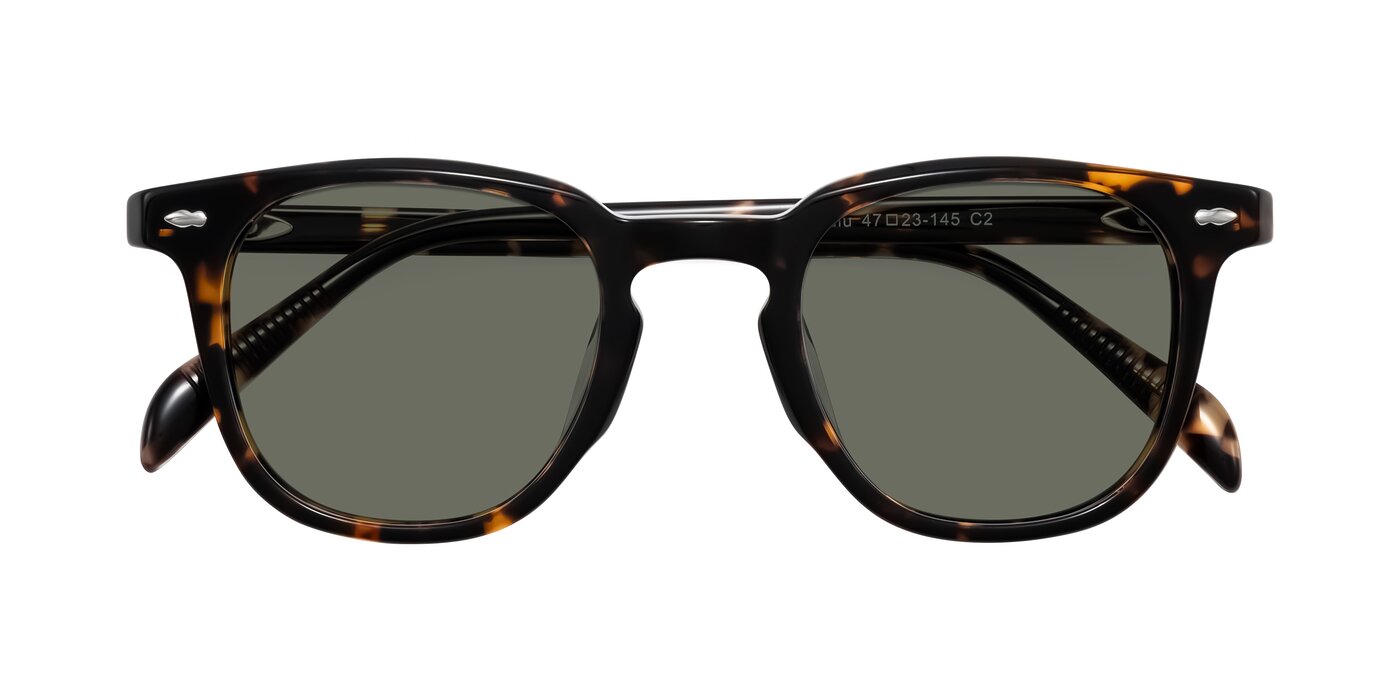 Palu - Tortoise Polarized Sunglasses