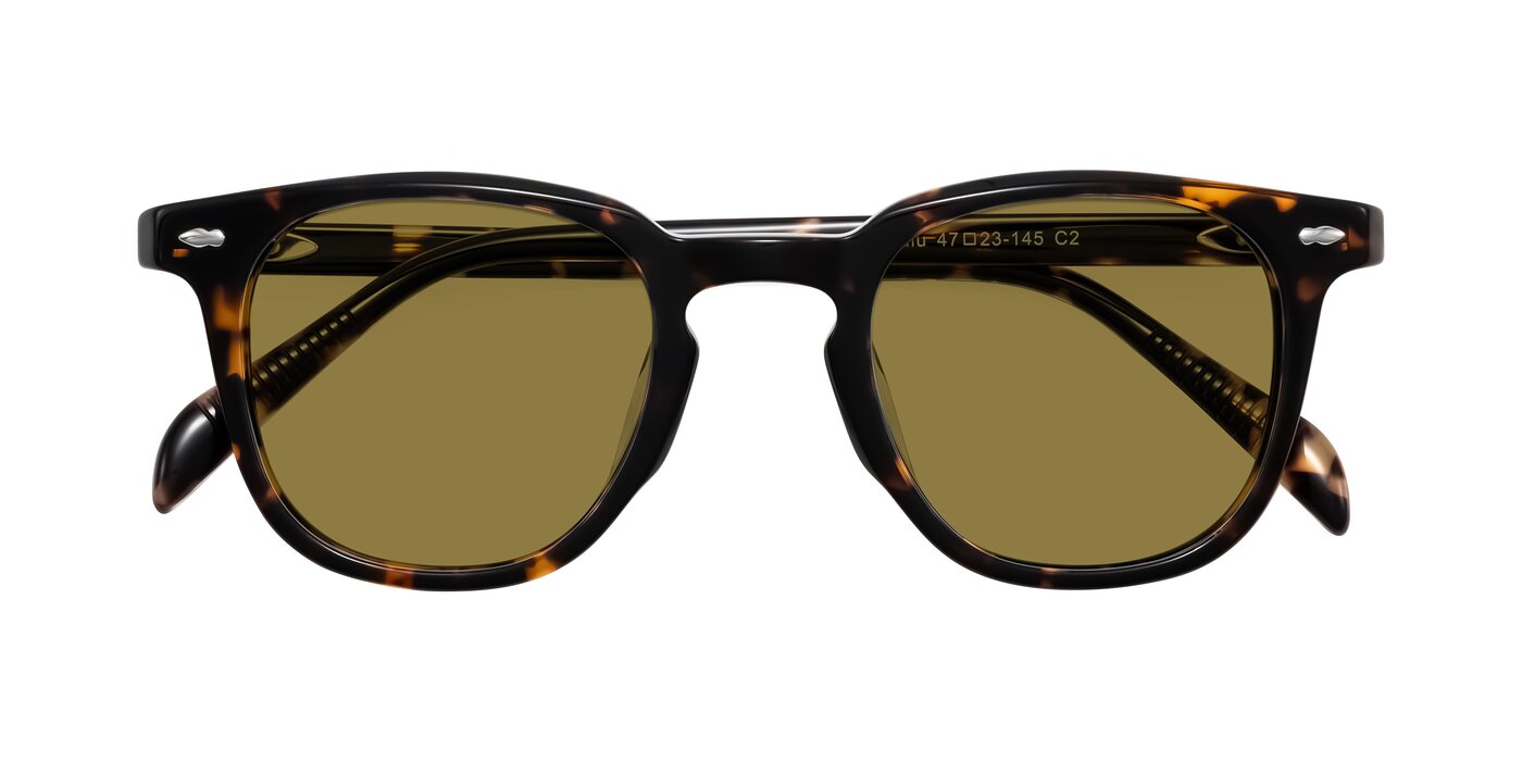Palu - Tortoise Polarized Sunglasses