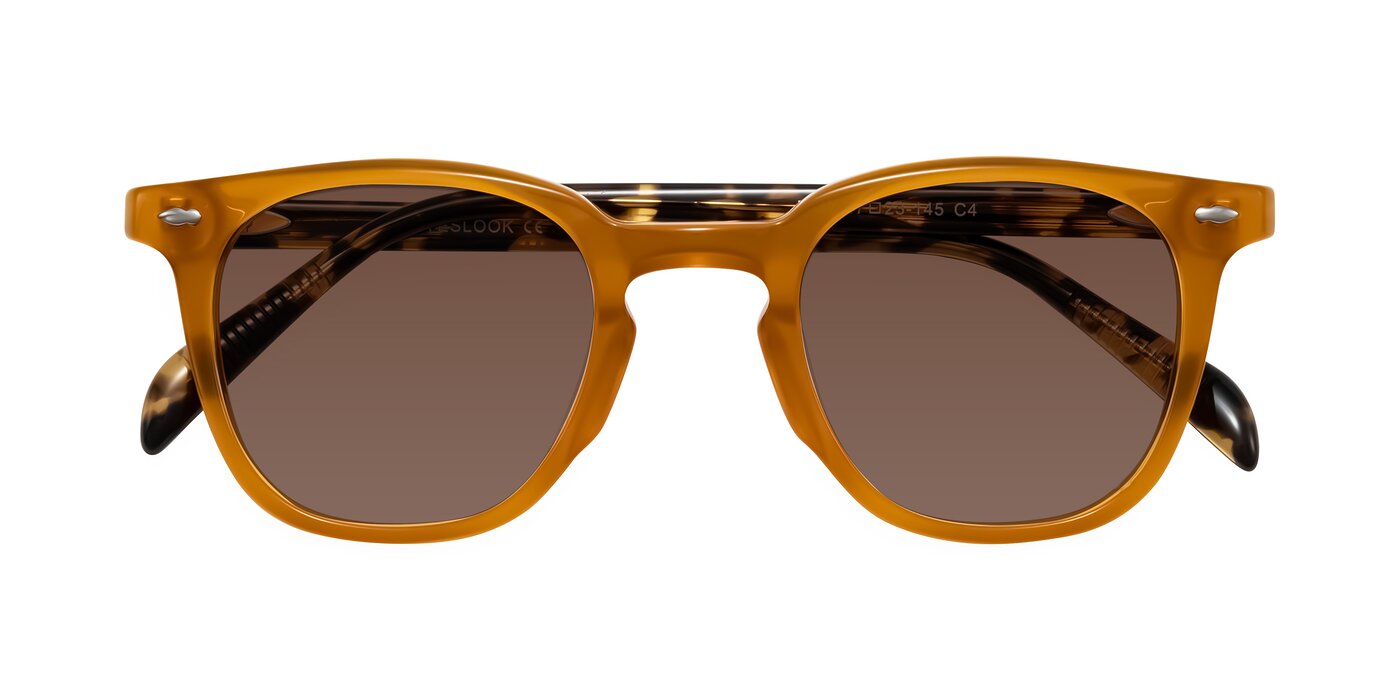 Palu - Honey/Tortoise Tinted Sunglasses