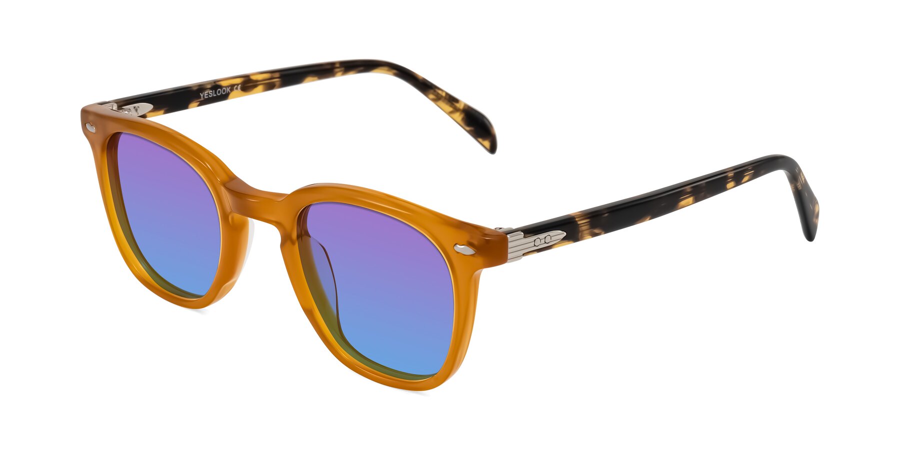 Angle of Palu in Honey/Tortoise with Purple / Blue Gradient Lenses