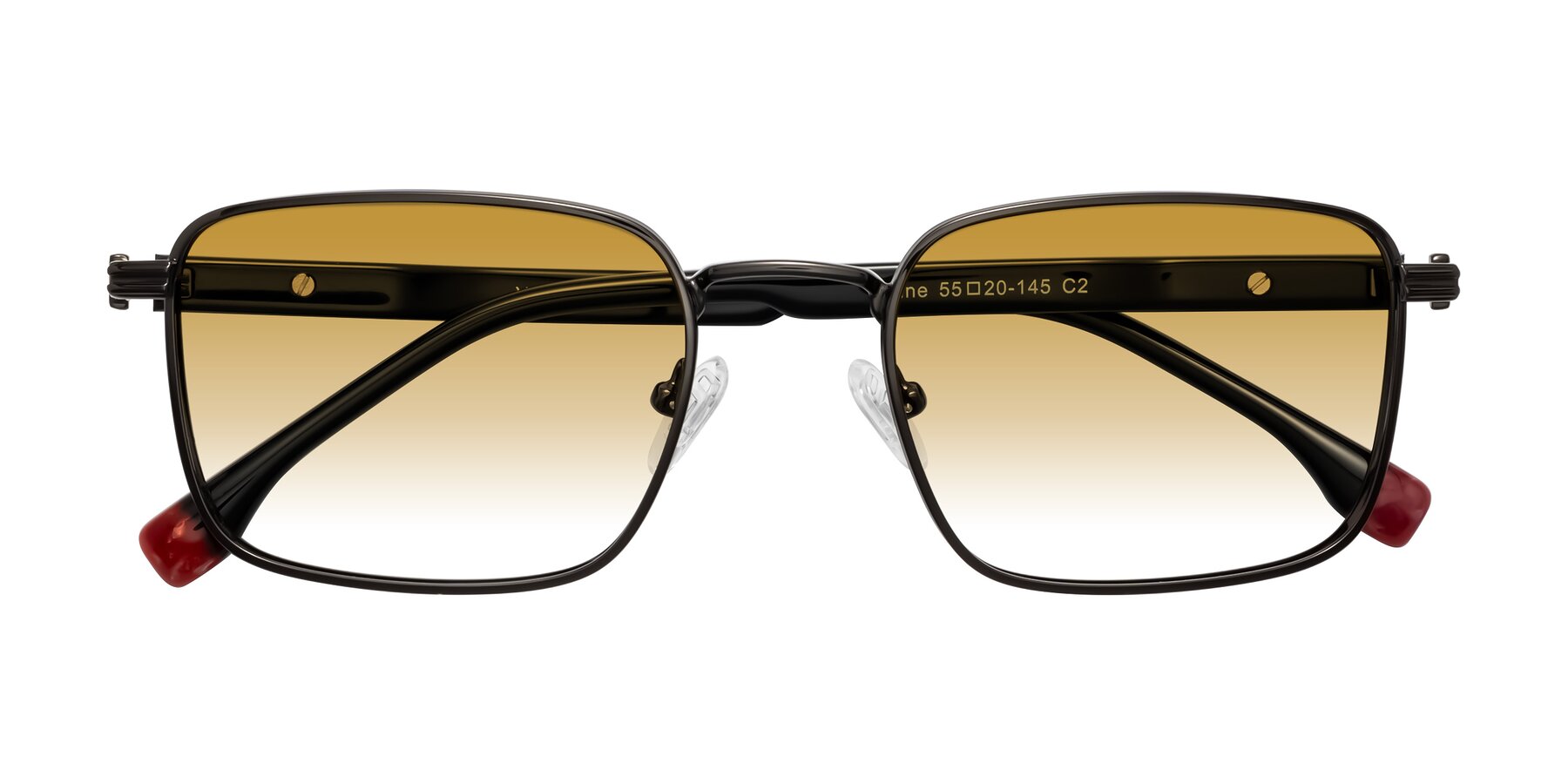 Folded Front of Rhine in Gunmetal/Black with Champagne Gradient Lenses