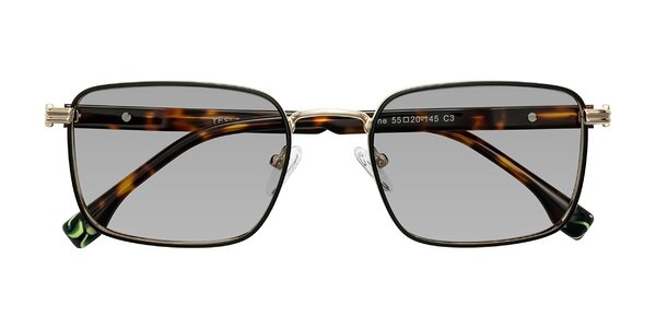 Front of Rhine in Black/Gold/Tortoise