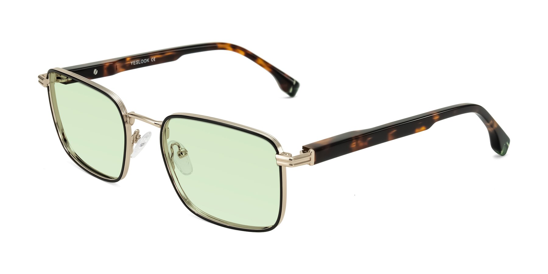Angle of Rhine in Black/Gold/Tortoise with Light Green Tinted Lenses