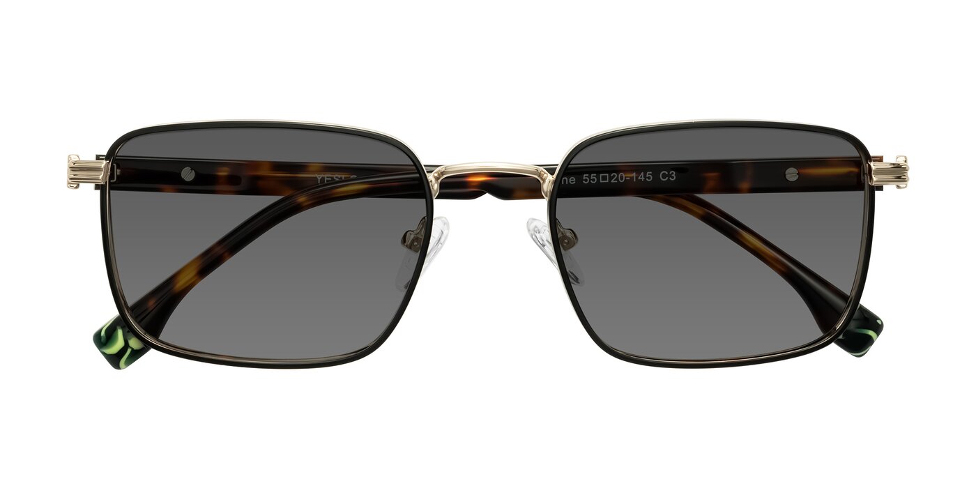 Rhine - Black/Gold/Tortoise Tinted Sunglasses