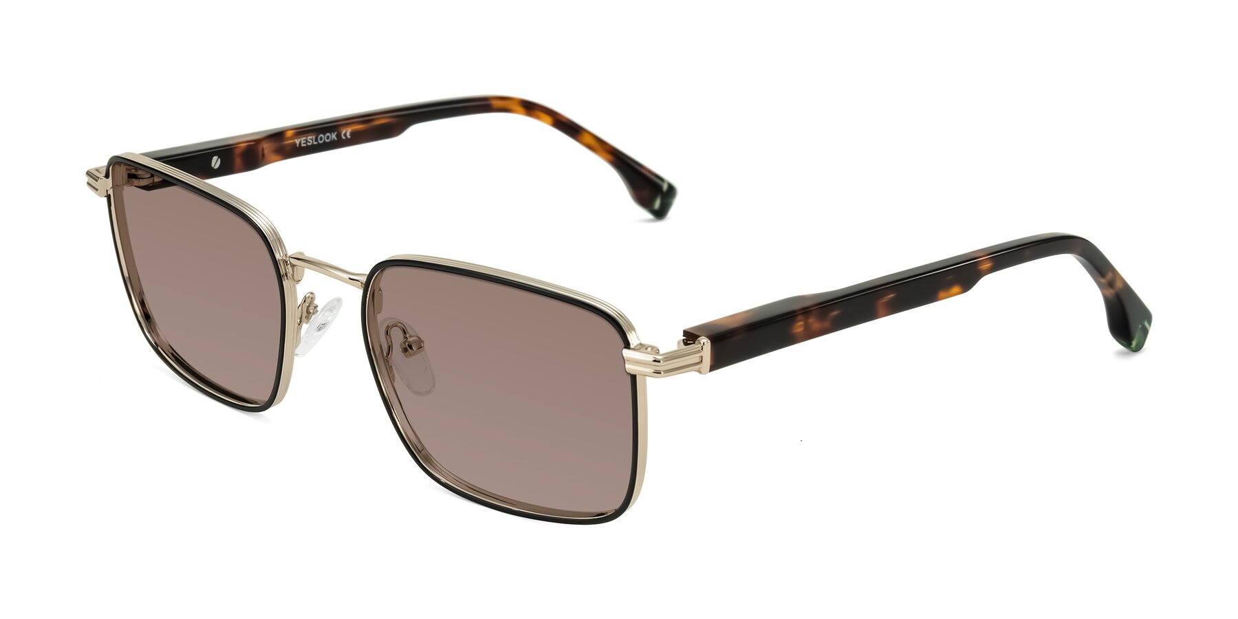 Angle of Rhine in Black/Gold/Tortoise with Medium Brown Tinted Lenses