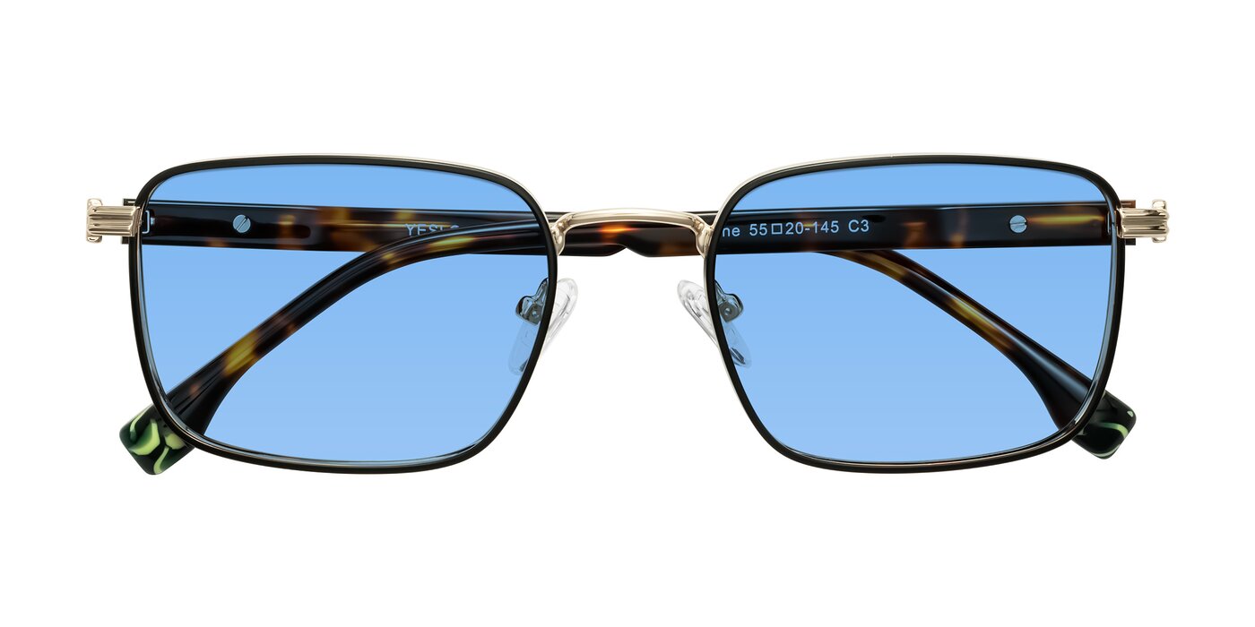 Rhine - Black/Gold/Tortoise Tinted Sunglasses
