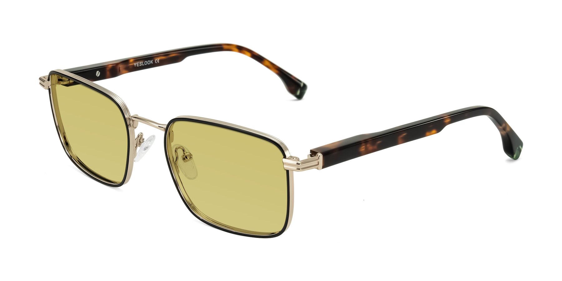 Angle of Rhine in Black/Gold/Tortoise with Medium Champagne Tinted Lenses