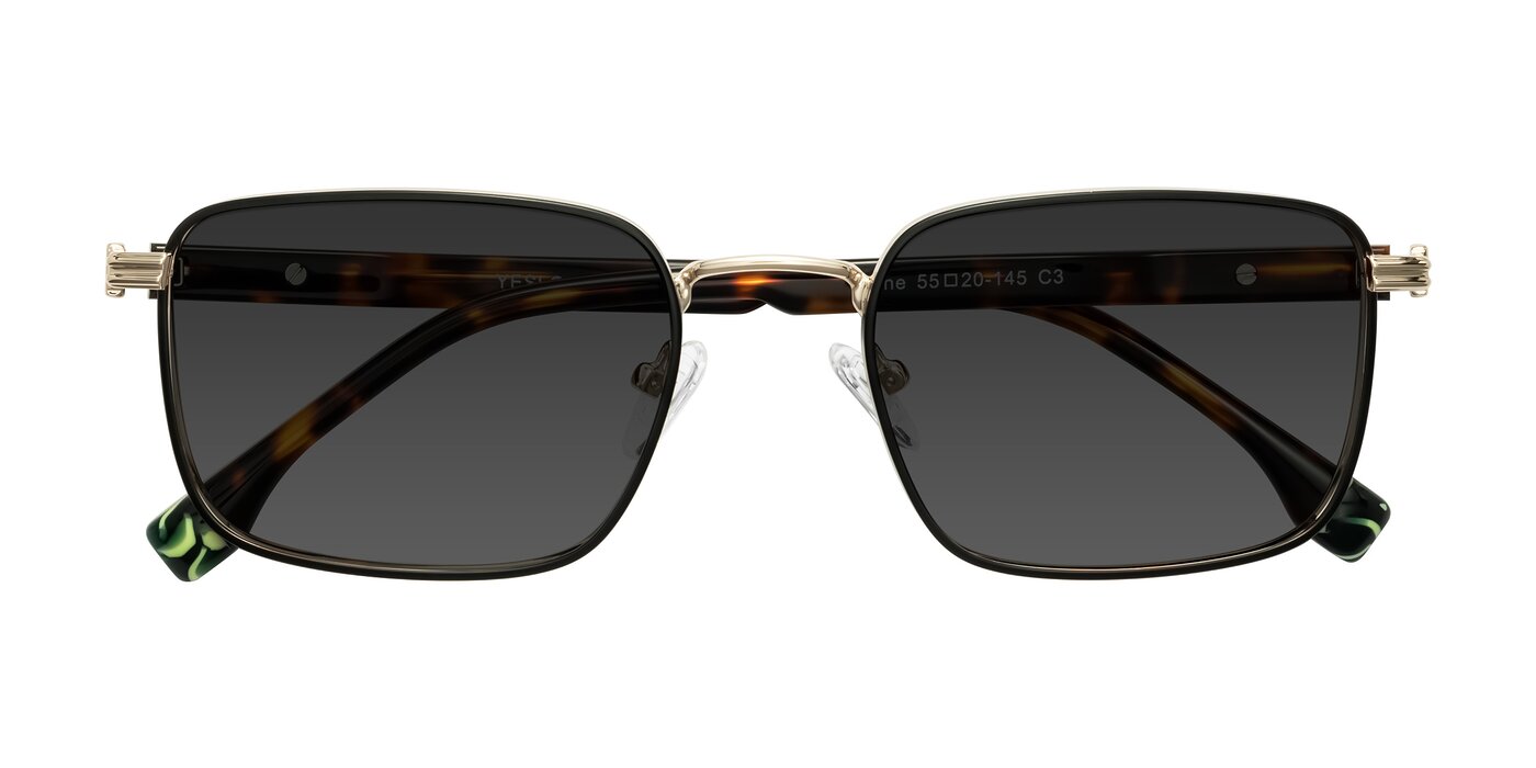 Rhine - Black/Gold/Tortoise Tinted Sunglasses