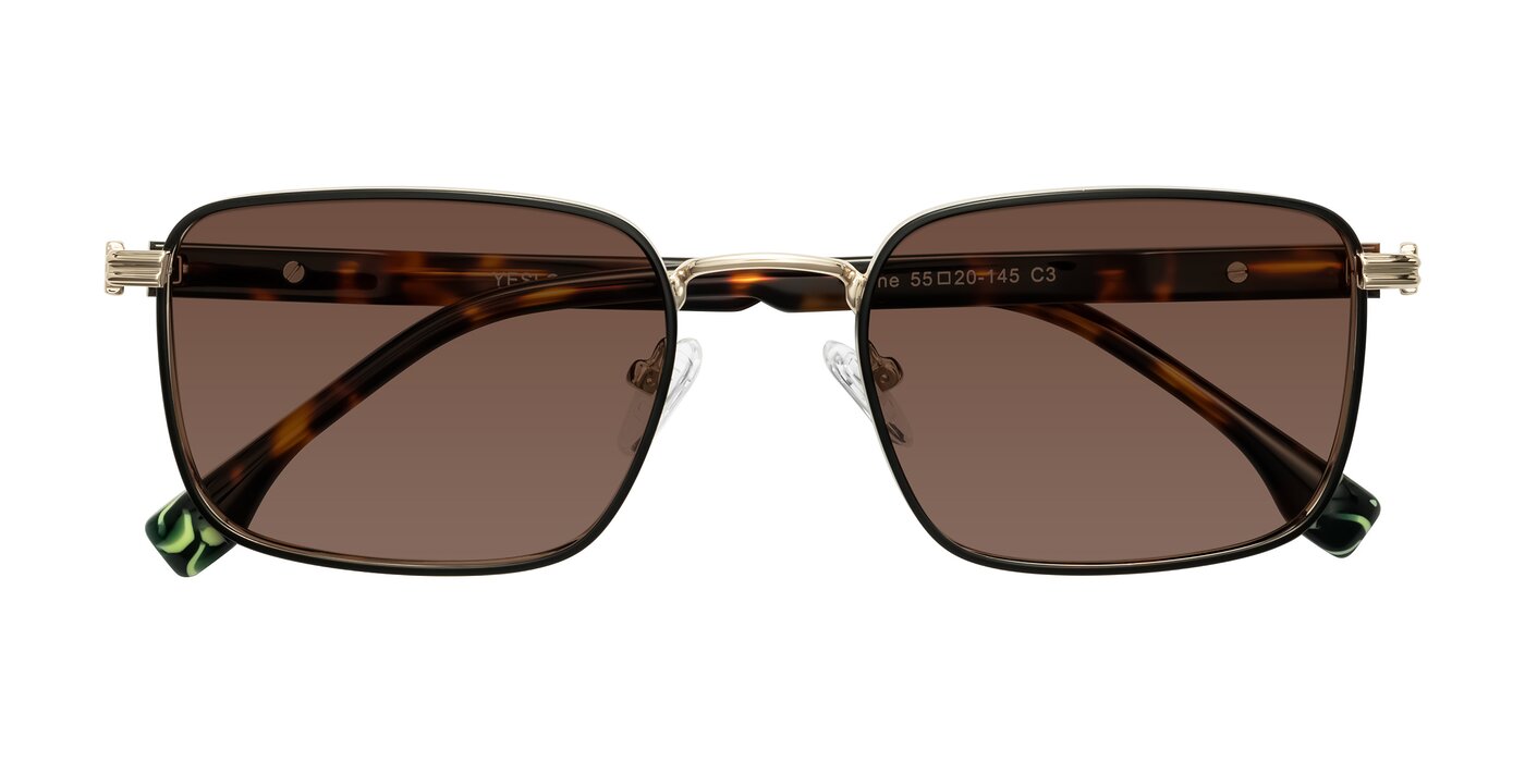 Rhine - Black/Gold/Tortoise Tinted Sunglasses