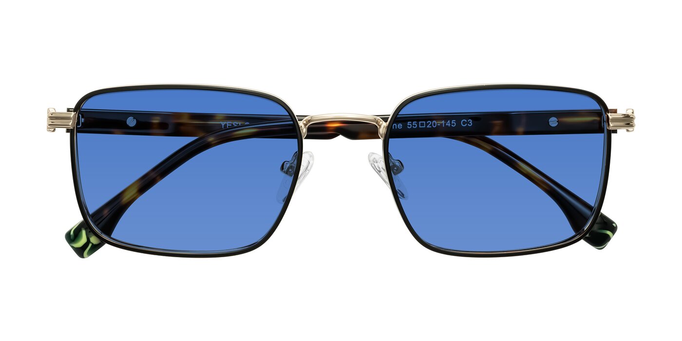 Rhine - Black/Gold/Tortoise Tinted Sunglasses