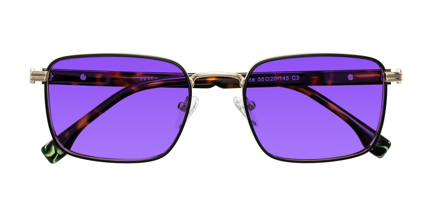 Rhine - Black/Gold/Tortoise Tinted Sunglasses