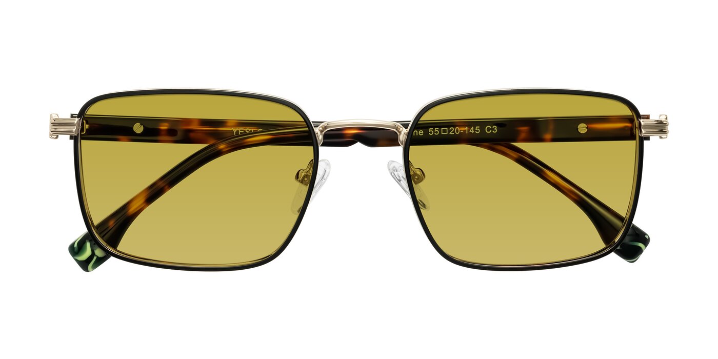 Rhine - Black/Gold/Tortoise Tinted Sunglasses