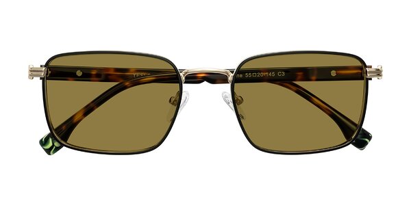 Front of Rhine in Black/Gold/Tortoise