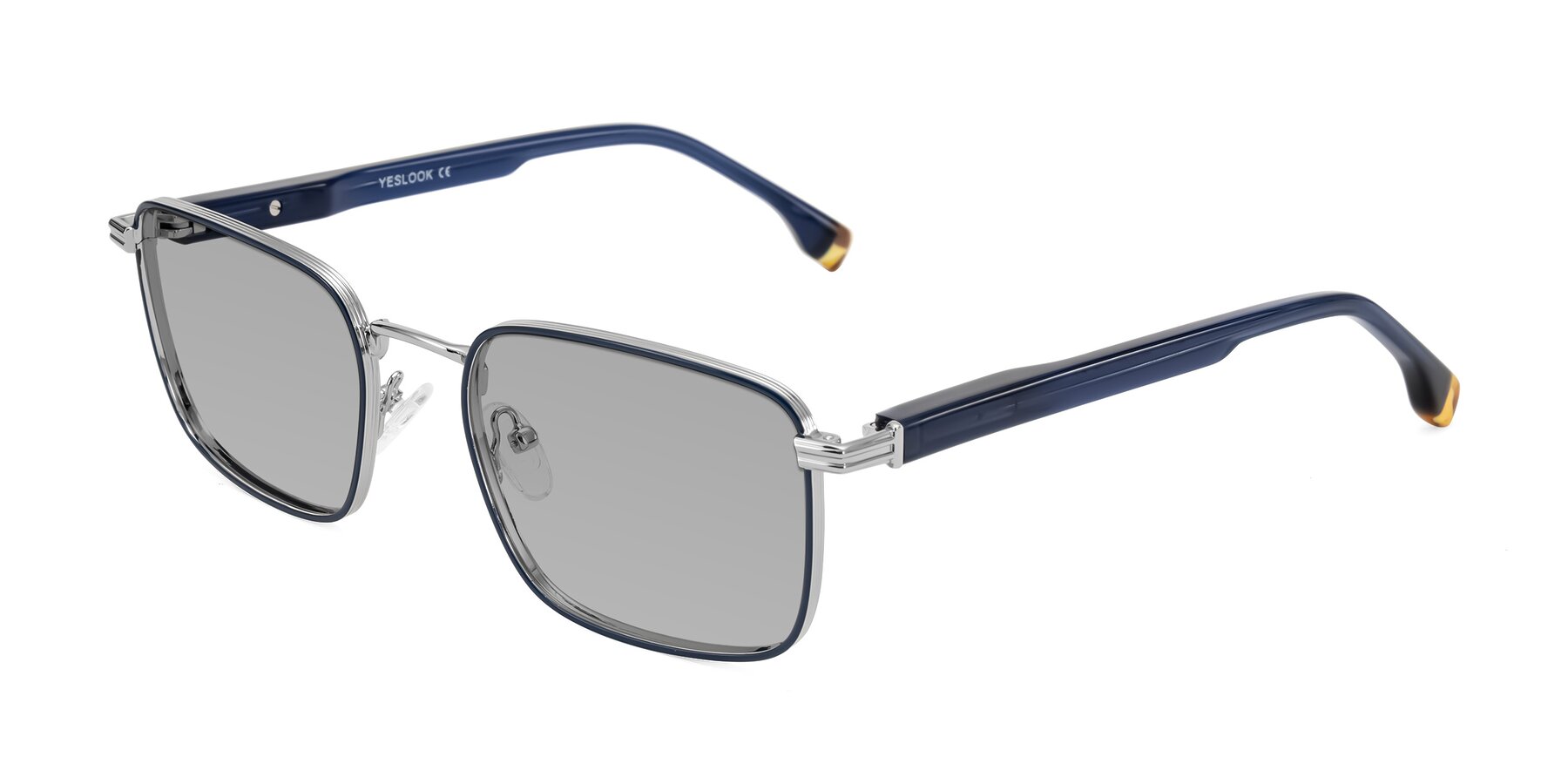 Angle of Rhine in Blue/Silver with Light Gray Tinted Lenses