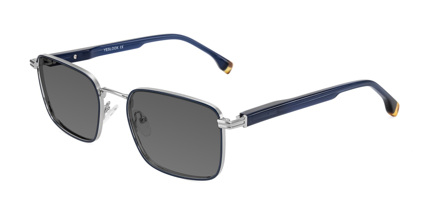 Angle of Rhine in Blue/Silver with Medium Gray Tinted Lenses
