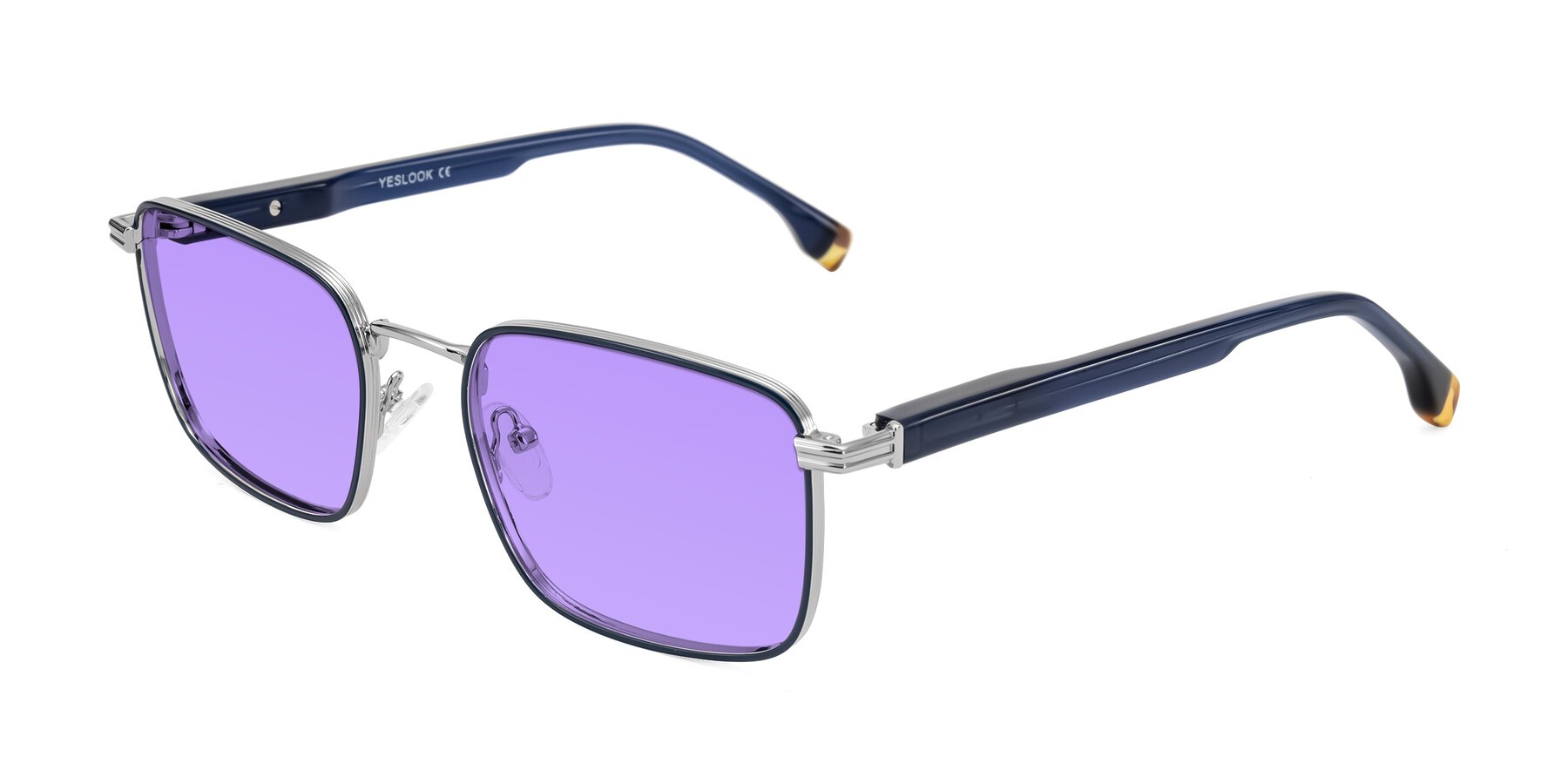 Angle of Rhine in Blue/Silver with Medium Purple Tinted Lenses