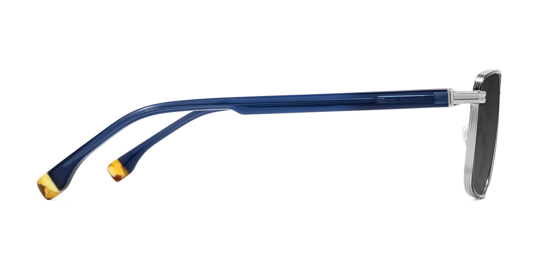 Side of Rhine in Blue/Silver with Gray Tinted Lenses