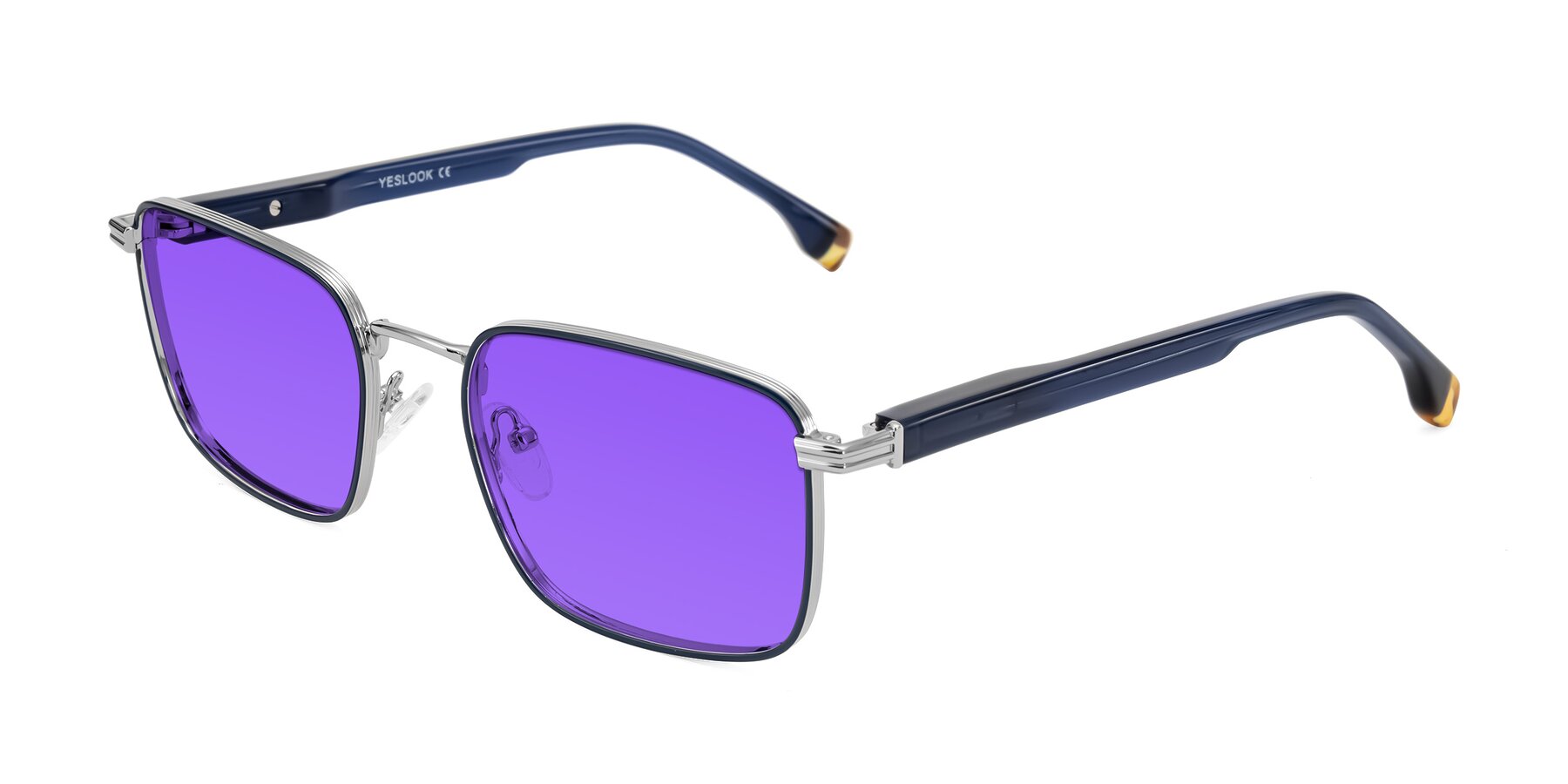 Angle of Rhine in Blue/Silver with Purple Tinted Lenses