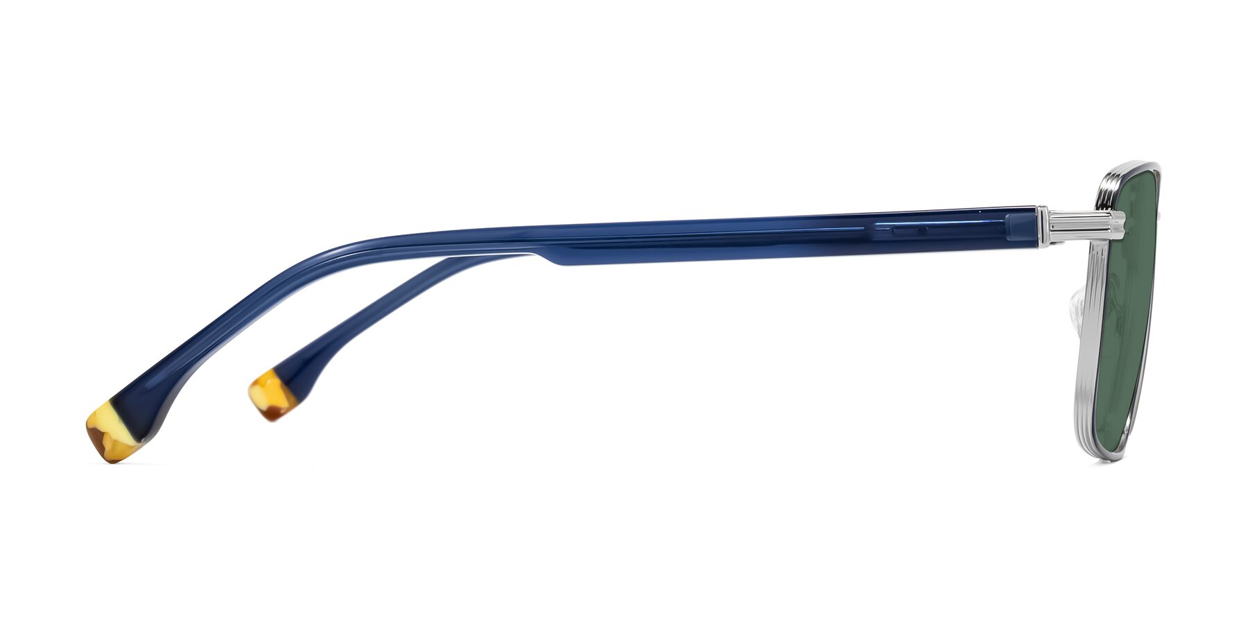 Side of Rhine in Blue/Silver with Green Polarized Lenses