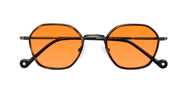 Front of Dalon in Tortoise/Gunmetal