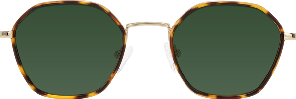 T18184 Leopard-Print/Gold Retro-Vintage Windsor Geometric Tinted Sunglasses ...