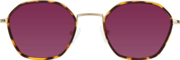 T18184 Leopard-Print/Gold Retro-Vintage Windsor Geometric Tinted Sunglasses ...