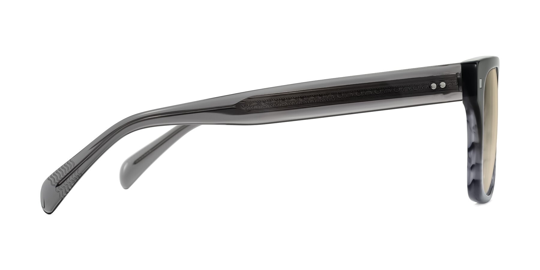 Side of Emas in Gray Striped with Light Brown Tinted Lenses