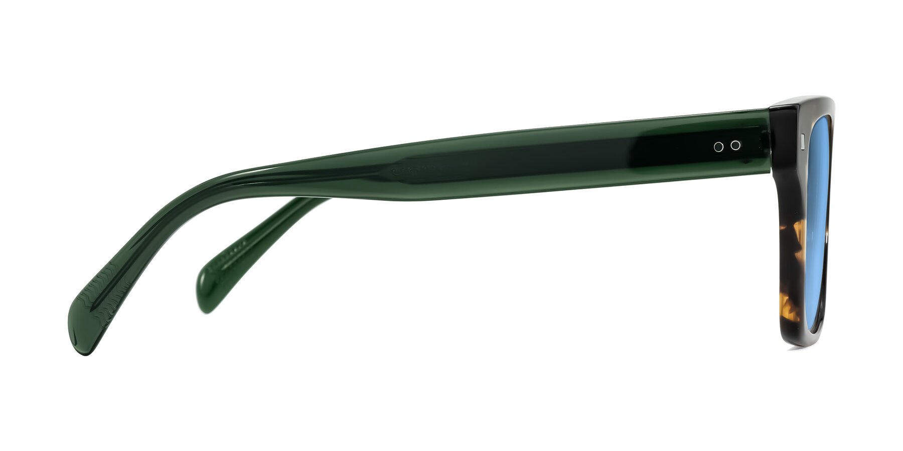 Side of Emas in Tortoise/Green with Medium Blue Tinted Lenses