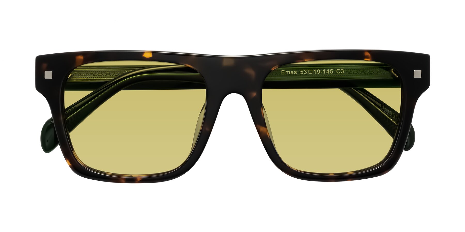 Folded Front of Emas in Tortoise/Green with Medium Champagne Tinted Lenses
