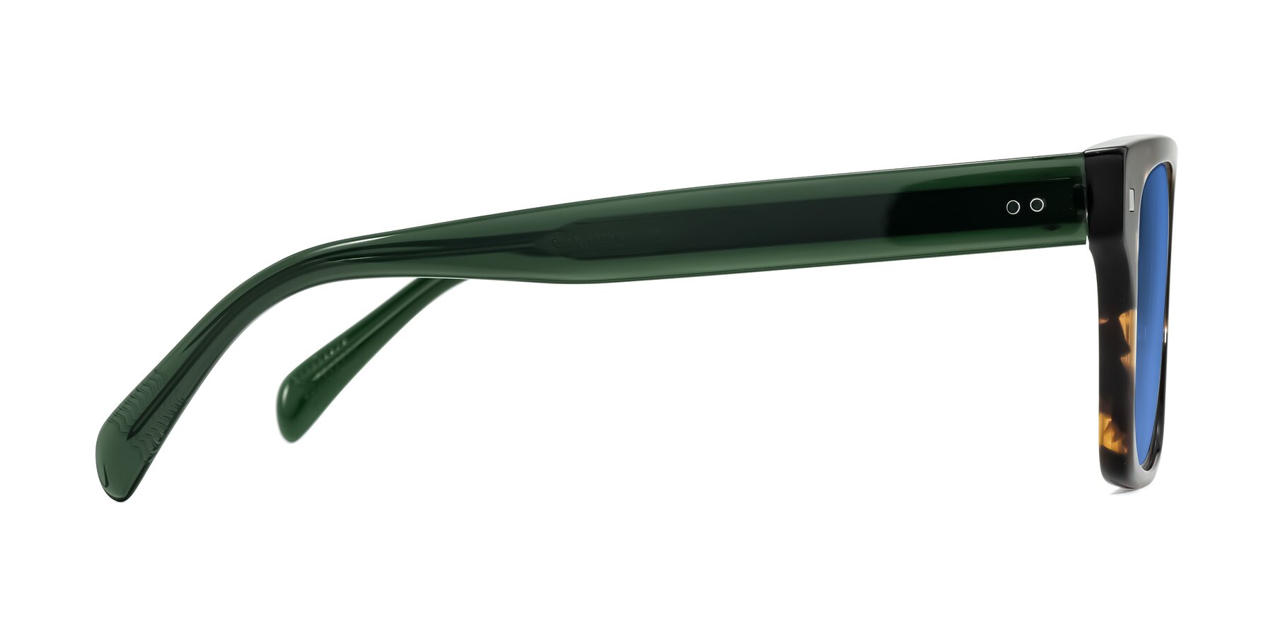 Side of Emas in Tortoise/Green with Blue Tinted Lenses
