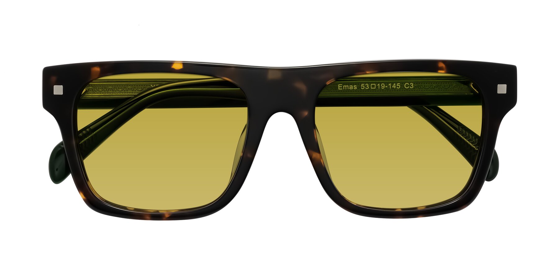 Folded Front of Emas in Tortoise/Green with Champagne Tinted Lenses