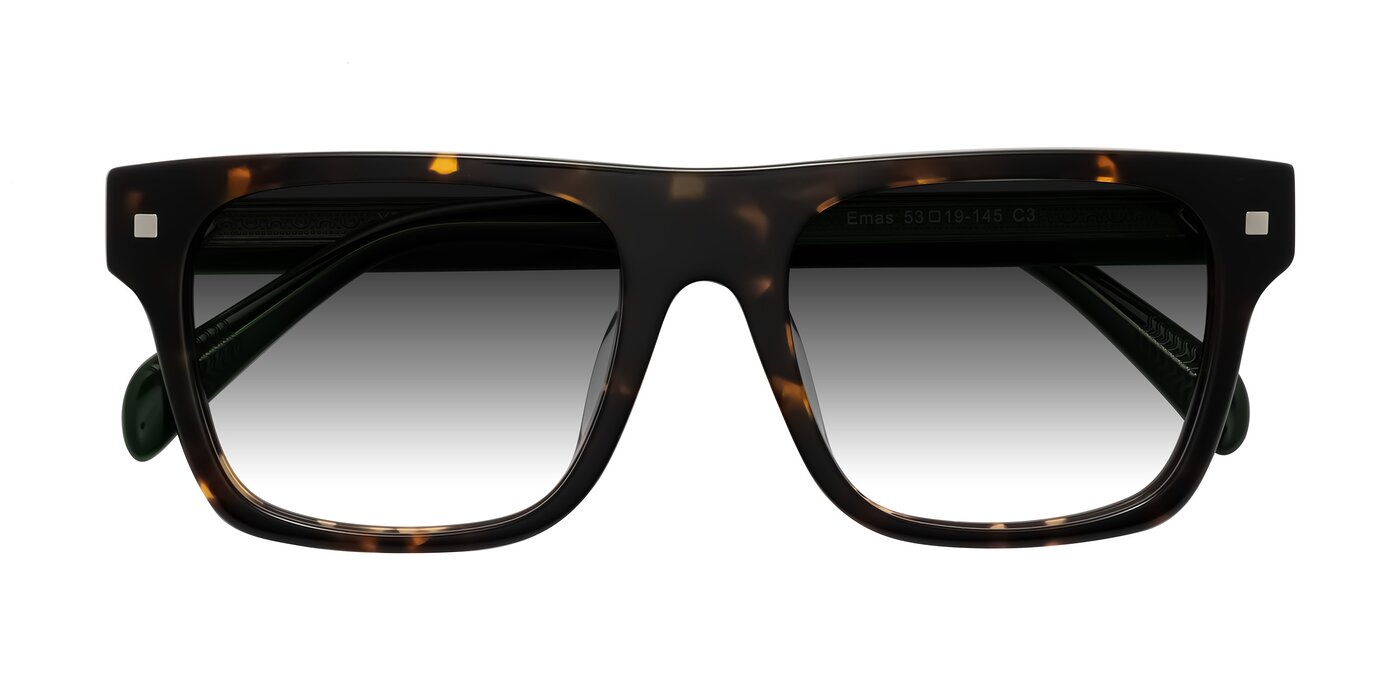 Emas - Tortoise/Green Gradient Sunglasses